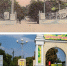220 лет назад создали таганрогский парк им. М. Горького - Bloknot-Taganrog.Ru