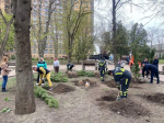 Общеобластной месячник чистоты завершится на Дону 18 апреля масштабным субботником и высадкой деревьев