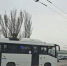 На время поминальных дней в Таганроге введут дополнительные маршруты транспорта к городским кладбищам - Газета Таганрогская правда