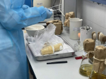 Донские эксперты проверили качество мороженого и дали рекомендации по его выбору 